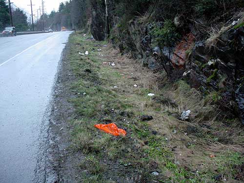 jpg trash along north tongass highway