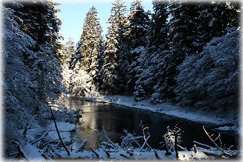 jpg Tongass National Forest