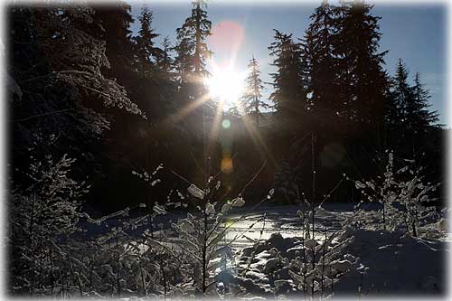 jpg Tongass National Forest