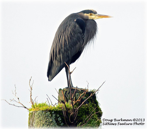 Front Page Photograph By DOUG BURKMAN