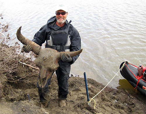 jpg Bison Bob a big discovery on the North Slope