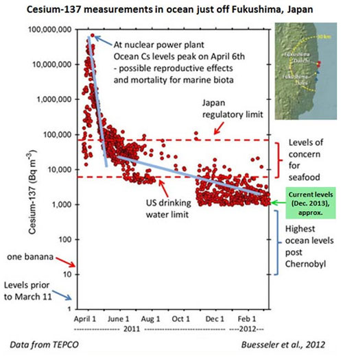 jpg Cesium-a37 measurements