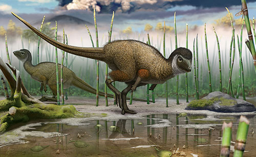 jpg Feathers were widespread even among dinosaurs...