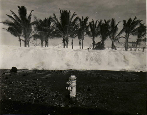 jpg 1946 tsunami survivor shares her story