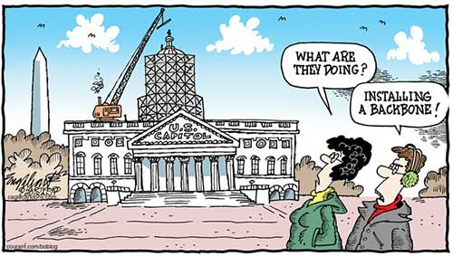 jpg POLITICAL CARTOON: CAPITOL DOME RESTORATION