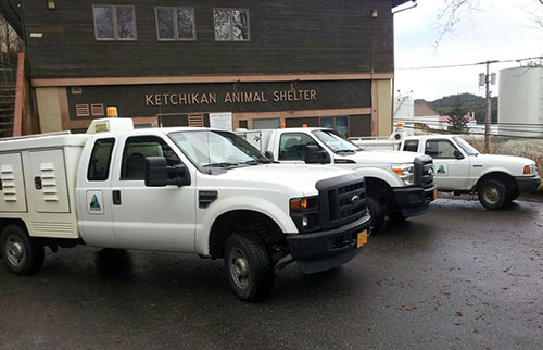 jpg Ketchikan Animal Shelter's Assessment Report Released