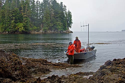 jpg Zac Hoyt and Sunny Rice return from a field day monitoring sea otters. 