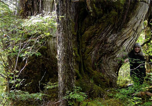 jpg Local artist leads Friday Night Insight lecture on a trip through Ketchikan’s past