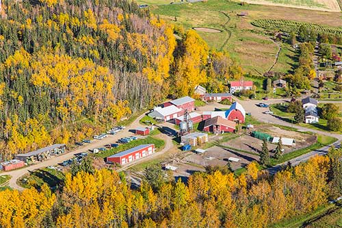 jpg Birch and aspen trees turn gold in the forest around the Fairbanks Experiment Farm, founded in 1906 on what is now the University of Alaska Fairbanks campus