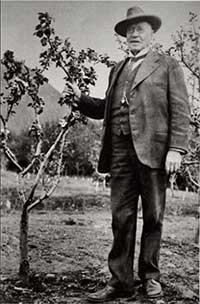 jpg Charles Georgeson stands next to an apple tree growing in Sitka