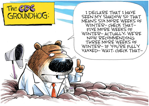 jpg Political Cartoon: CDC Groundhog
