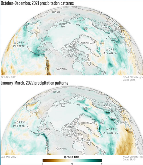 jpg These maps show how total precipitation across the Arctic changed between 1950 and 2022 during fall (October-December, top) and winter (January–March, bottom). The darker the color, the bigger the change: green for increases, brown for decreases.