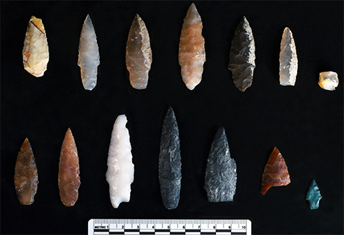 jpg Archaeologists uncover oldest known projectile points in the Americas