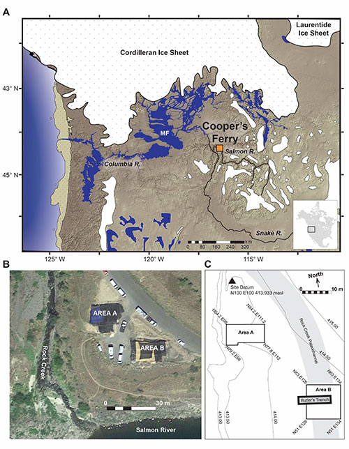 jpg (A) map showing the location of the Cooper’s Ferry site in the context of Pacific Northwest environments at 16,000 years ago; (B) aerial image (from Google Earth) showing the Cooper’s Ferry excavations; (C) site map showing the locations of excavation Area A and Area B.