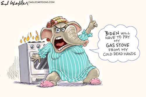 jpg Political Cartoon: Gas Stove From My Cold Dead Hands