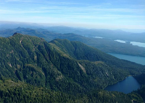 Tongass Roadless Rule Reinstated 