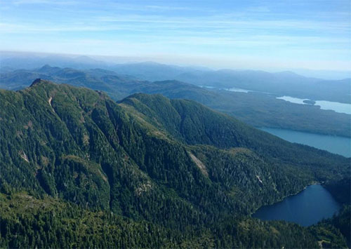 jpg Tongass Roadless Rule Reinstated 