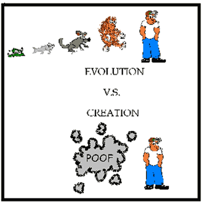 gif evolution