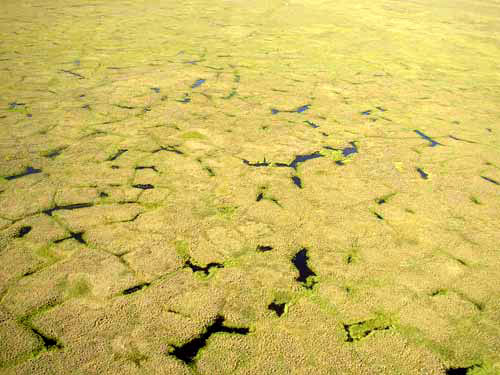 jpg thaw ponds