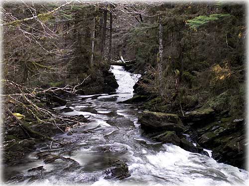 jpg Settler's Cove State Park