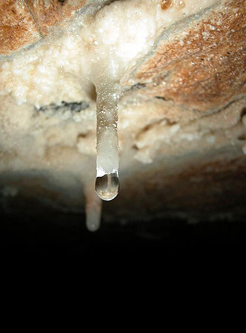 jpg A close-up a stalactite forming in a cave.