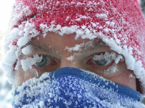 jpg Short, chubby, and neurotic might be a good combination in the cold