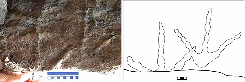 jpg stone bird tracks in Denali