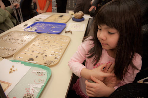 jpg Skylar Chase stands with her grandmother, Healy Lake Traditional Council First Chief Joann Polston, as she looks at remains and artifacts from the Upward Sun River site 
