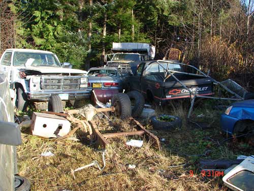 jpg North Tongass cleanup