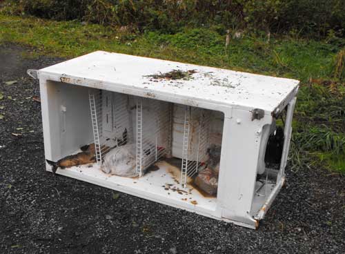 jpg A freezer with salmon dumped on N. Tongass for the  AK DOT Maintenance crew to clean up.