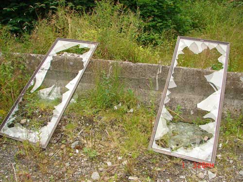 jpg Windows dumped and smashed off Revilla Road for someone to clean up.