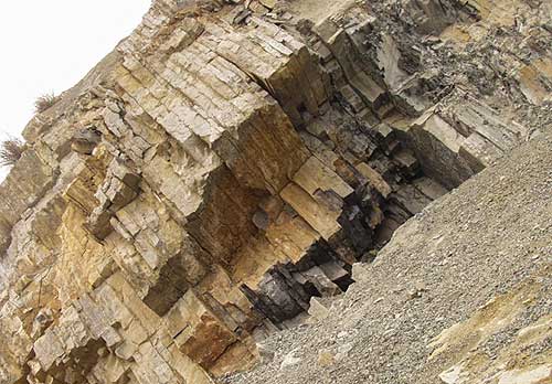 jpg A photo of the permian triassic boundary at Meishan, China