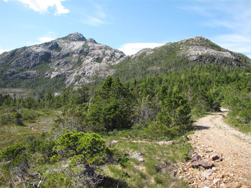 jpg Bokan Mountain in Southeast Alaska is the proposed site of a heavy rare earth element mine