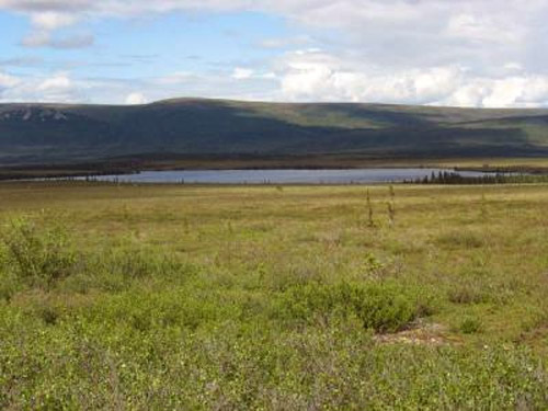 jpg Bering Land Bridge a long-term refuge for early Americans