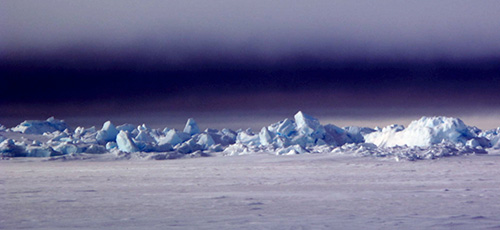 jpg Life on ice at the top of the world 