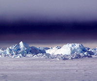 Life on ice at the top of the world