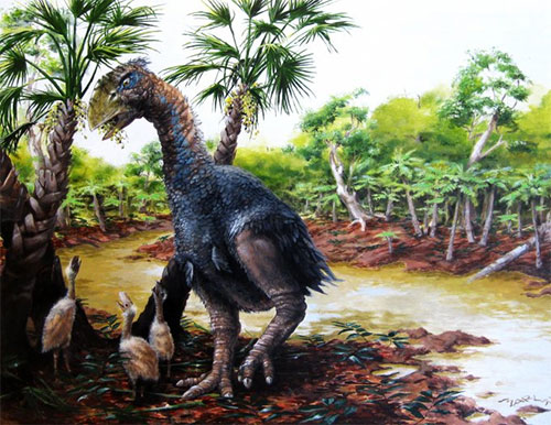 jpg Giant flightless bird wandered the Arctic 50 million years ago