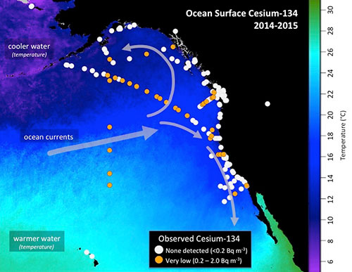 jpg Higher Levels of Fukushima Cesium Detected Offshore 