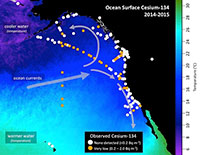 Higher Levels of Fukushima Cesium Detected Offshore