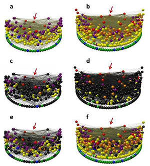 jpg How hunter-gatherers preserved their food sources