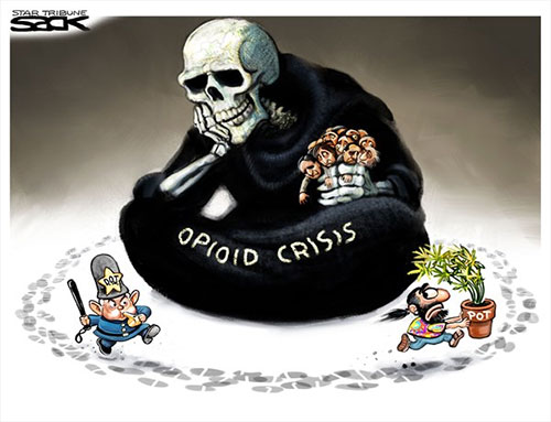 jpg Political Cartoon: Pot vs Opioids