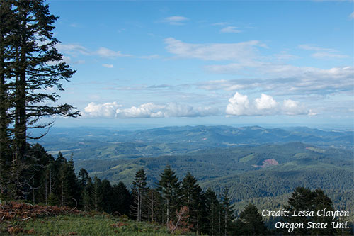 jpg Climate modeling shows significant shifts in 21st century Pacific Northwest coastal forests