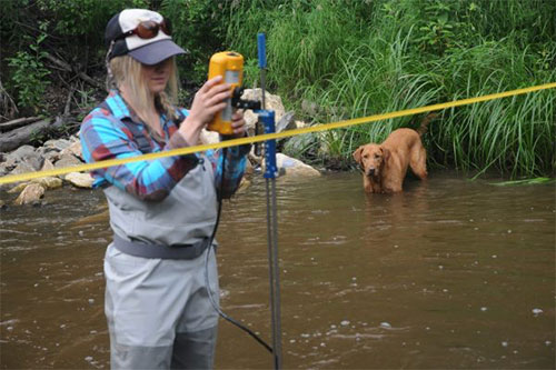 jpg Deanna Klobucar measures the flow in Cripple Creek, which feeds into the lower Chena River just west of Fairbanks, while Trout the dog supervises.