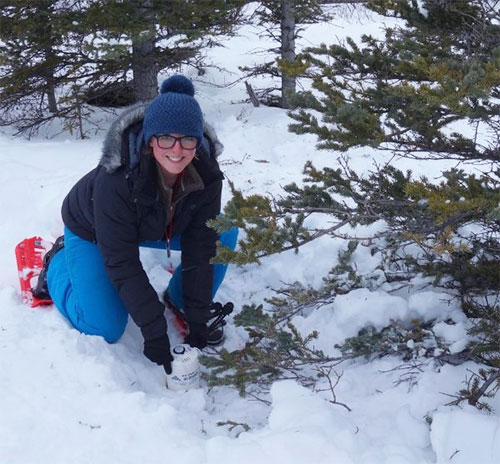 jpg Elizabeth Berg of the University of Utah installs a seismometer on the Denali Fault near Cantwell.