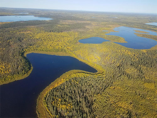 jpg Many Arctic lakes give off less carbon than expected 