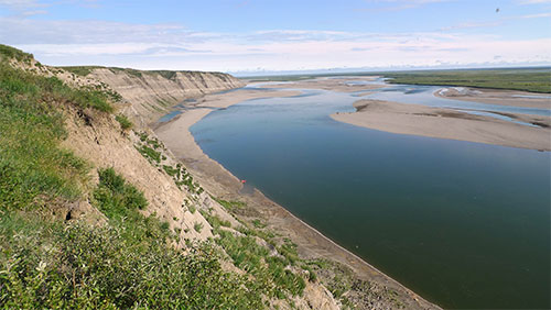 jpg The Colville River flows across Alaska’s North Slope. The bluffs on the left bank are made of the 70 million year-old Prince Creek Formation and contain bones and teeth of dinosaurs and tiny mammals.