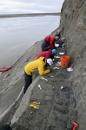 jpg Scientists excavate a dinosaur bone bed along the Colville River.