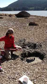 3,500 years of shellfish farming by indigenous peoples on the Northwest coast 