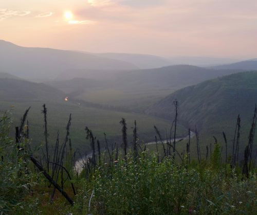 Keeping the carbon in Alaska forests 