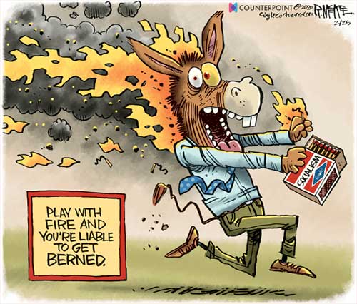 jpg Political Cartoon: Democrats Berned